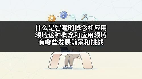 什么是智瞳的概念和应用领域?这种概念和应用领域有哪些发展前景和挑战?