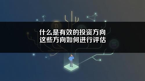 什么是有效的投资方向?这些方向如何进行评估?