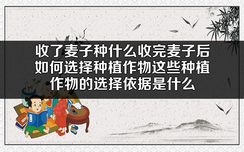 收了麦子种什么?收完麦子后如何选择种植作物?这些种植作物的选择依据是什么?