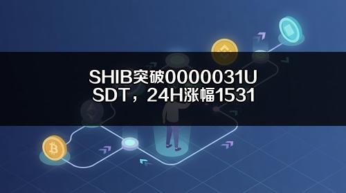 SHIB突破0.000031 USDT,24H涨幅15.31%